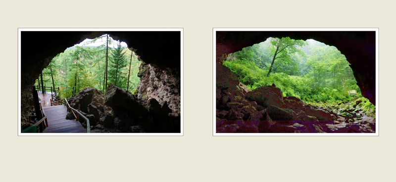 ����ɭ��